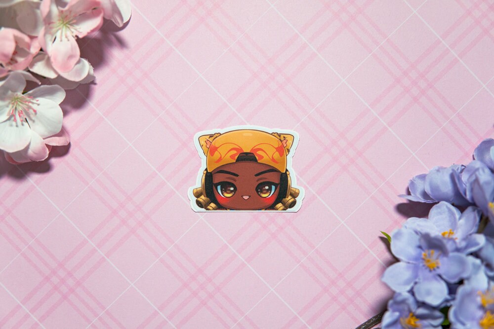 Valorant Peeker Stickers/ cute stickers/ gamer stickers/ peeker stickers/ cute stickers/ car stickers/ Jett sticker/ Reyna Sticker/ duelist