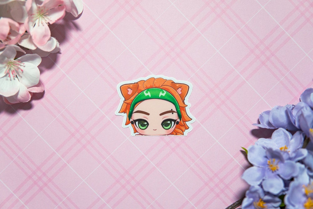 Valorant Peeker Stickers/ cute stickers/ gamer stickers/ peeker stickers/ cute stickers/ car stickers/ Jett sticker/ Reyna Sticker/ duelist