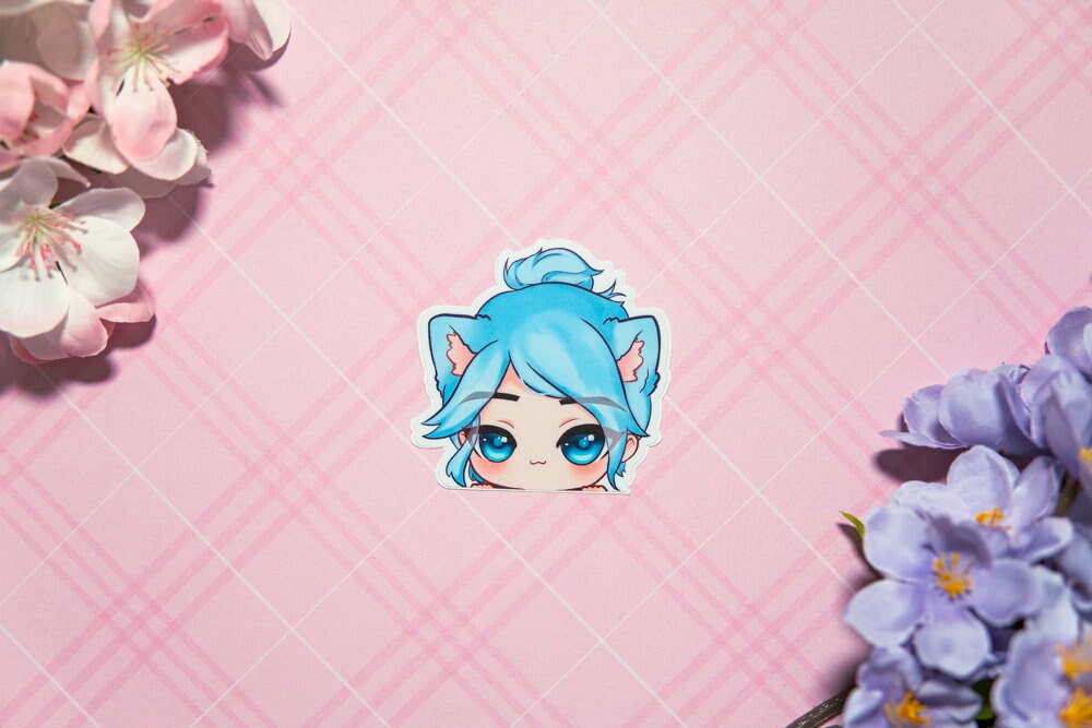 Valorant Peeker Stickers/ cute stickers/ gamer stickers/ peeker stickers/ cute stickers/ car stickers/ Jett sticker/ Reyna Sticker/ duelist